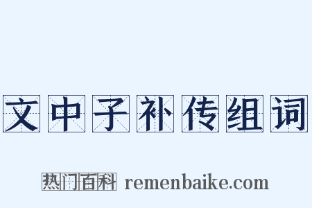 文中子补传组词是什么意思的图片